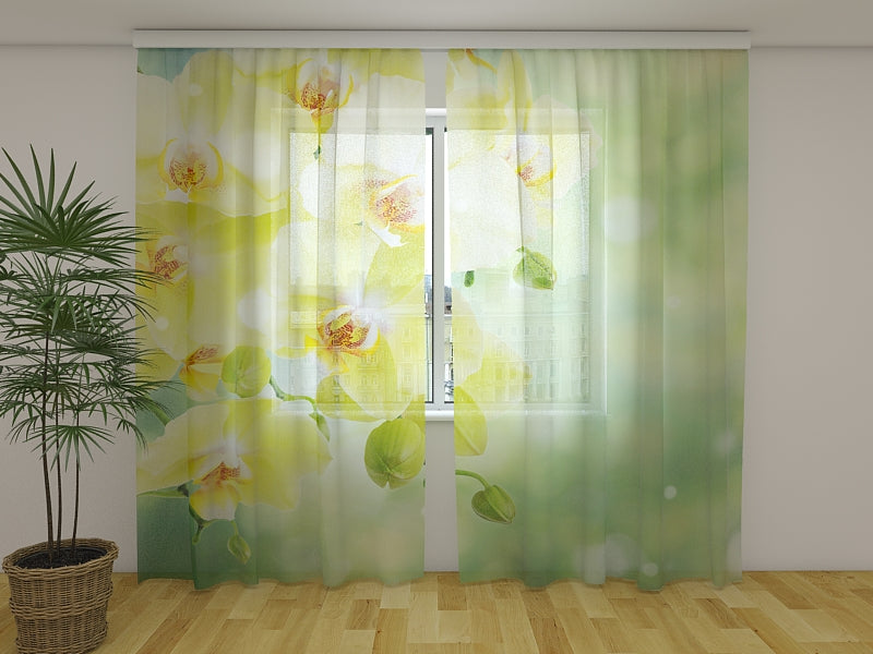 Photo Curtain Beautiful Lemon Orchids