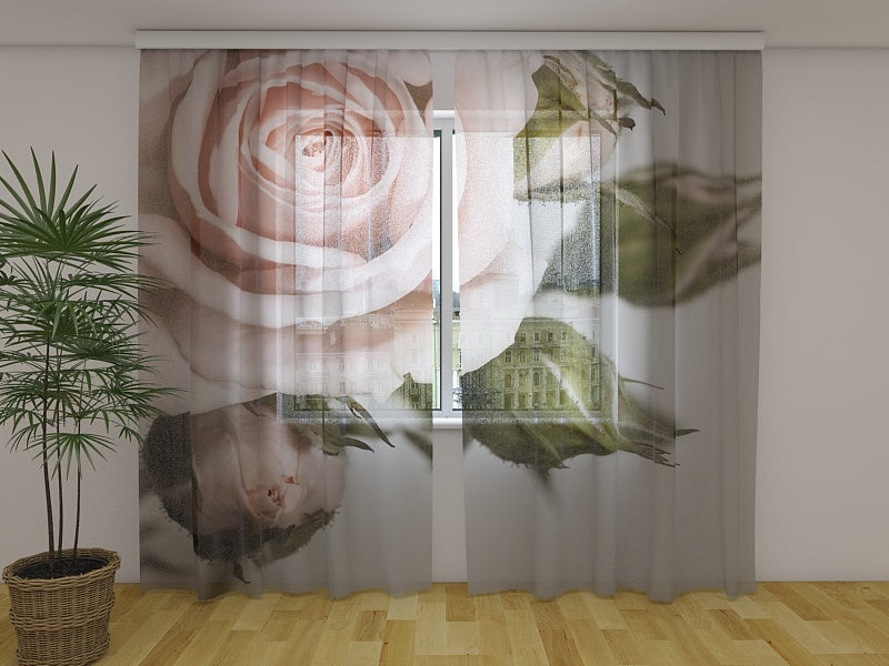 Photo Curtain Beautiful Rose with Buds