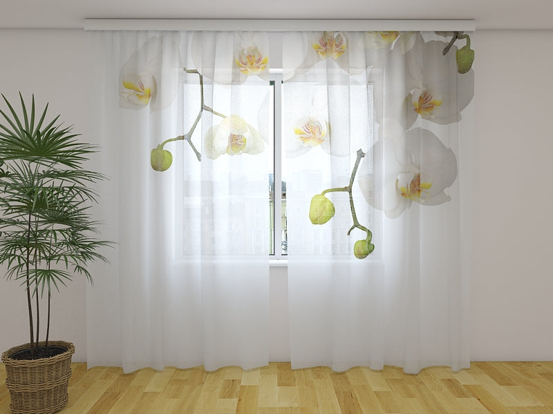 Photo Curtain Big Orchids