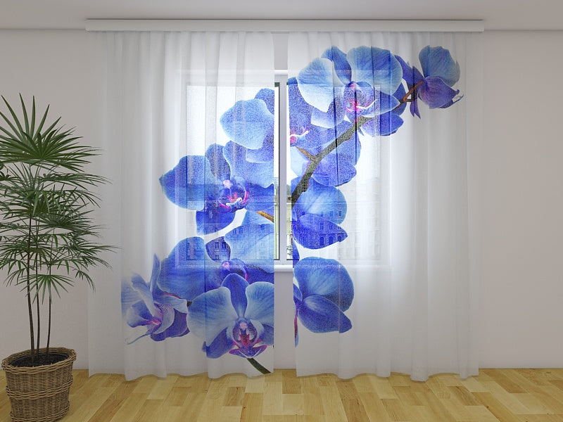 Rideau Photo Orchidée Bleue