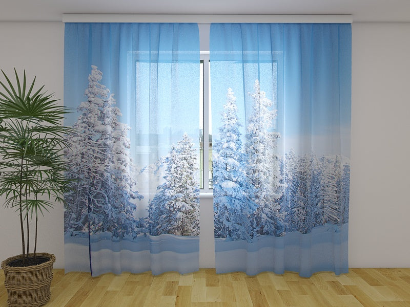 Photo Curtain Christmas Forest