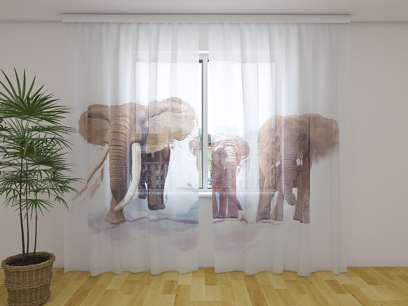 Photo Curtain Elephant Family