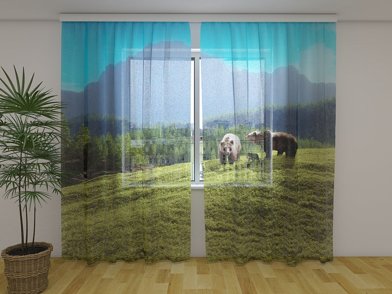 Photo Curtain Family of Bears in a Forest Glade