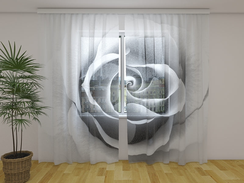 Photo Curtain Grey Rose - Wellmira
