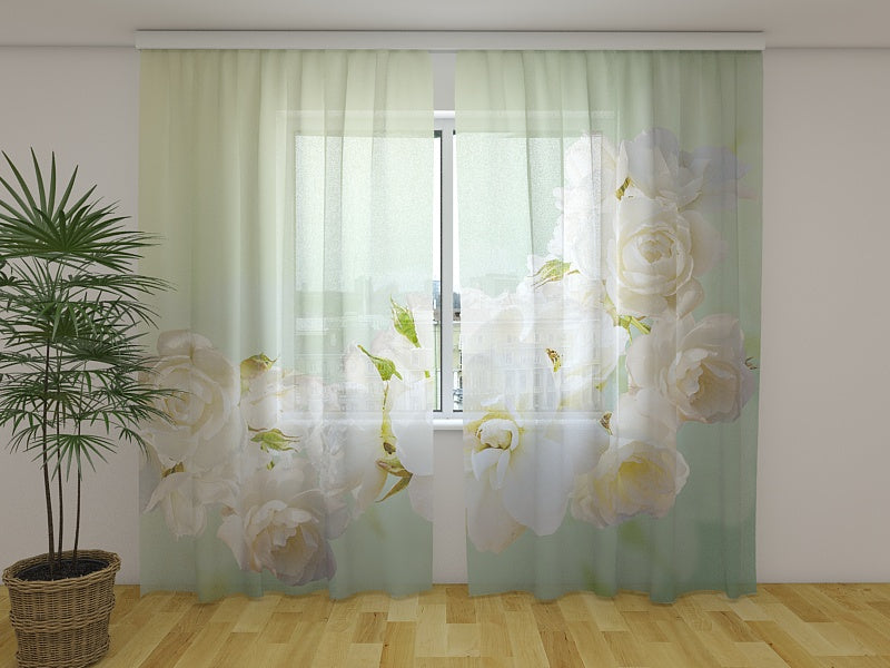 Fotocortina Mint Roses