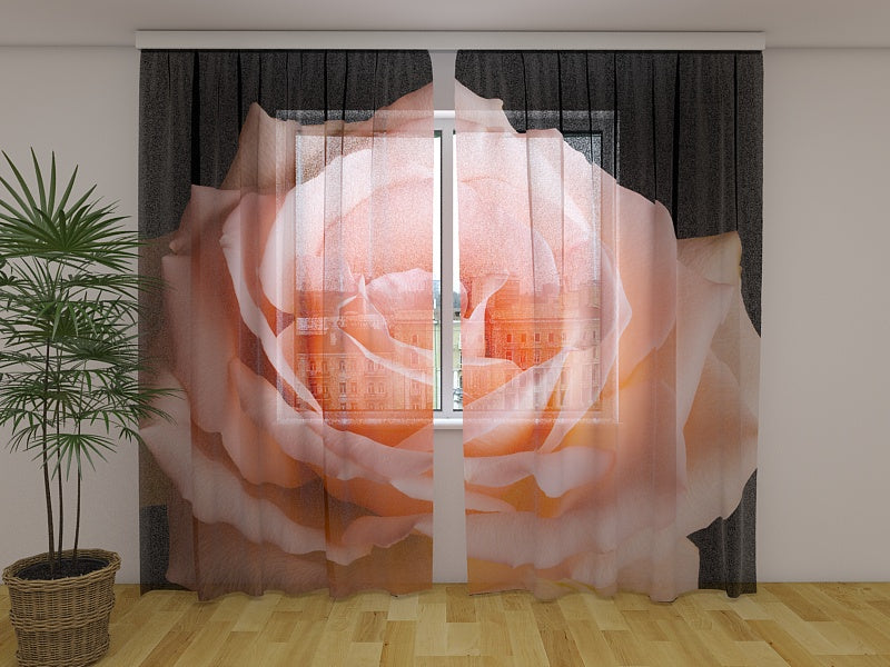 Photo Curtain Peach Rose