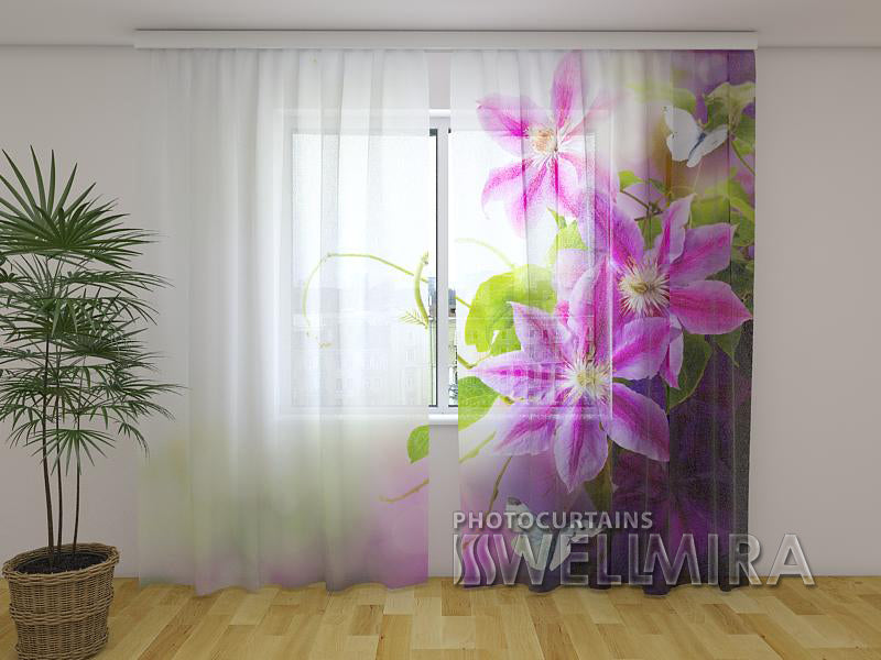 Photo Curtain Perfection