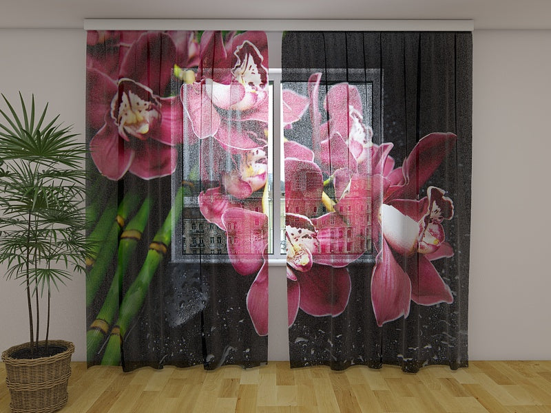 Photo Curtain Phantasy