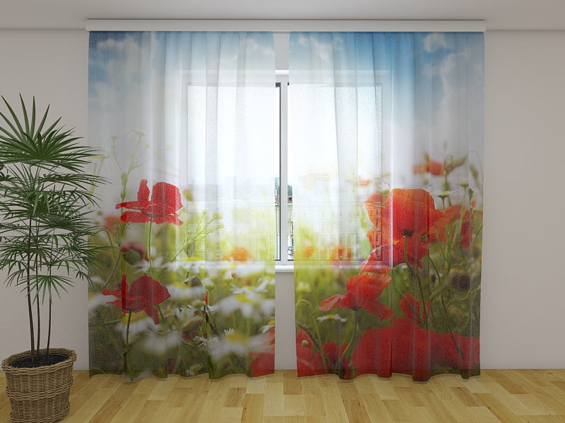 Rideau photo coquelicots rouges et ciel bleu
