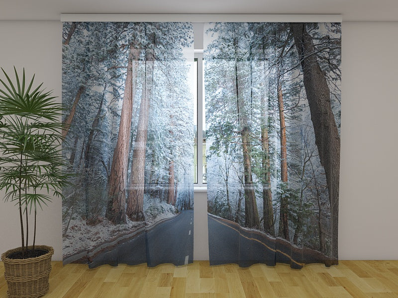 Photo Curtain Road in Snow-Covered Forest