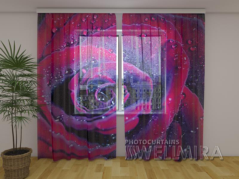 Photo Curtain Rose of Love