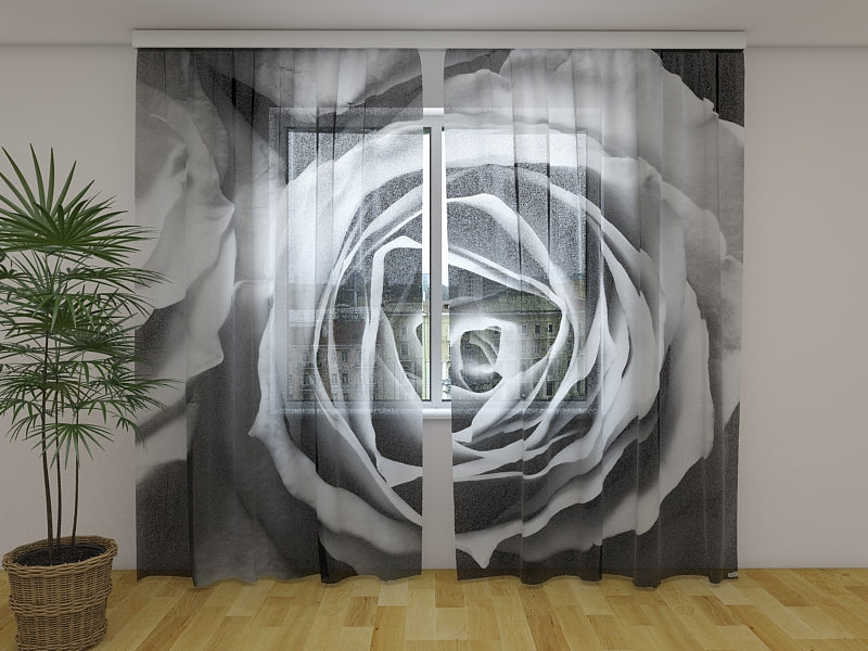 Photo Curtain Roses in Black and White Shades