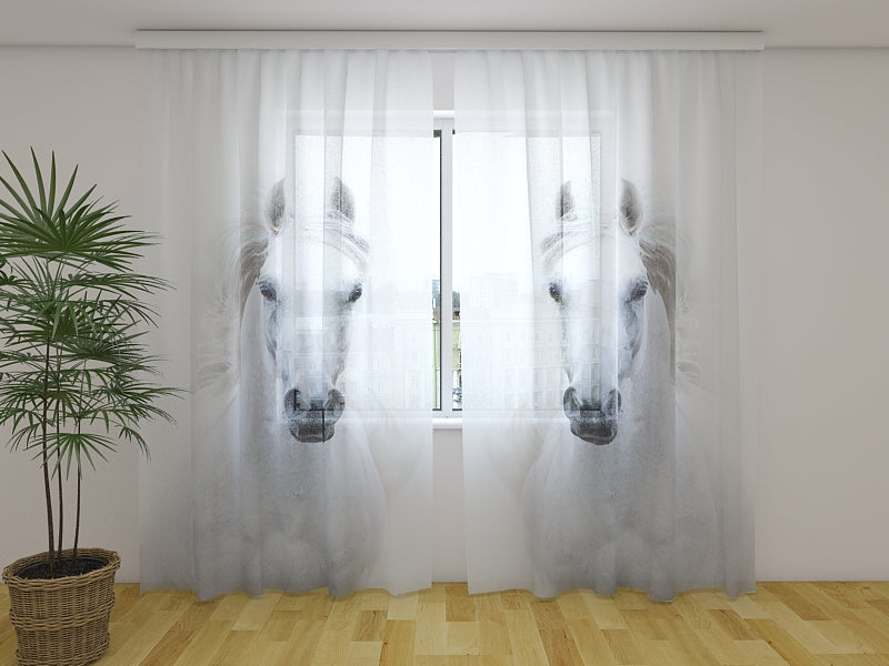 Photo Curtain Snowy-White Arabian Stallion