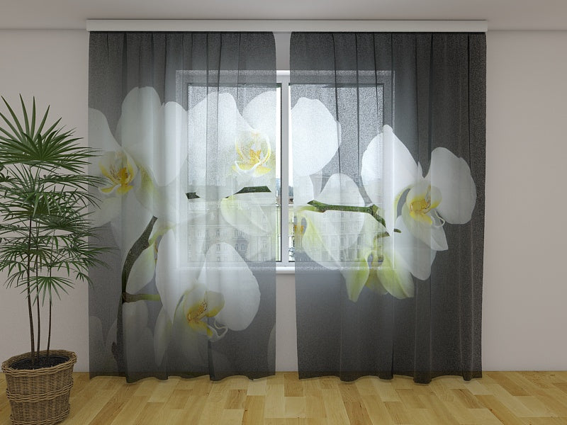 Photo Curtain Song Orchids