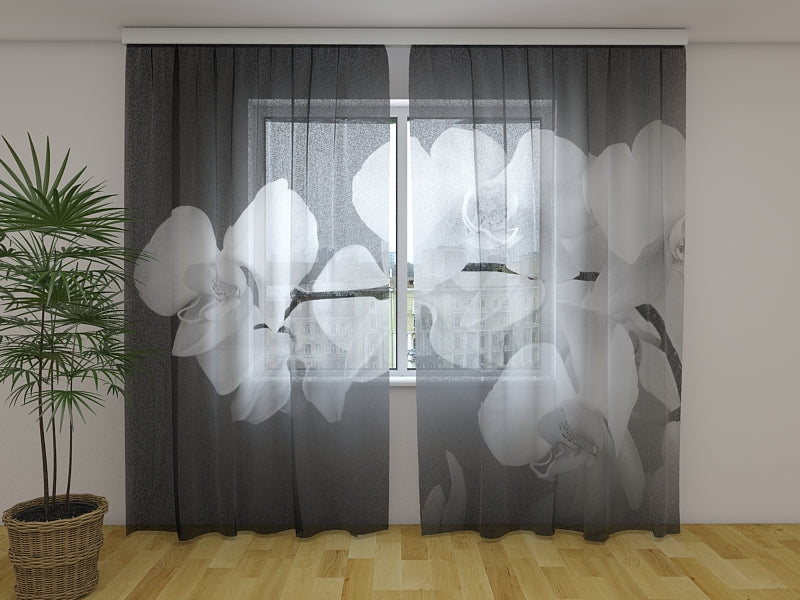 Photo Curtain Songs Orchids Black and White