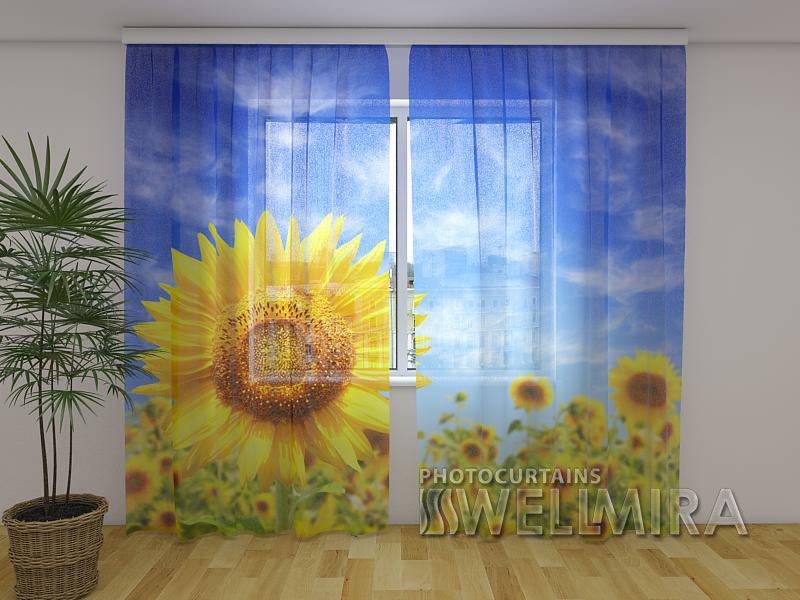 Photo Curtain Sunflower