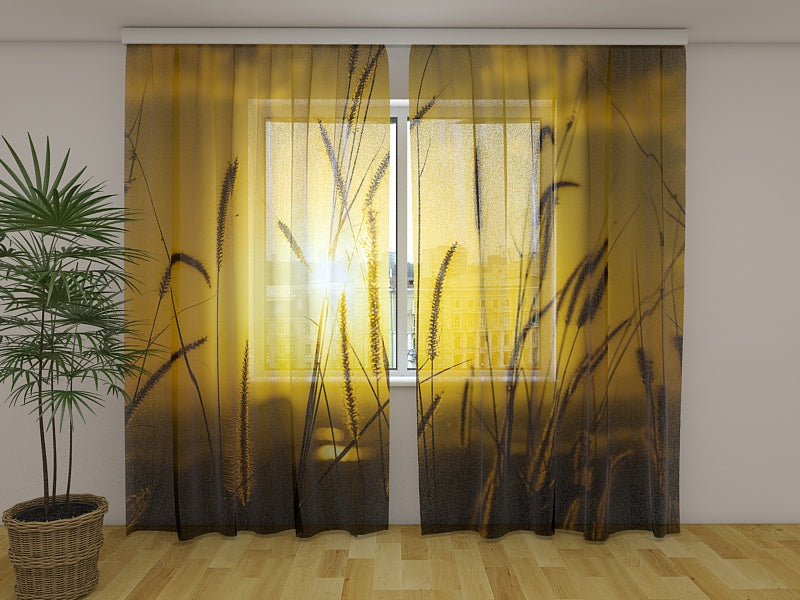 Photo Curtain Sunset in the Field