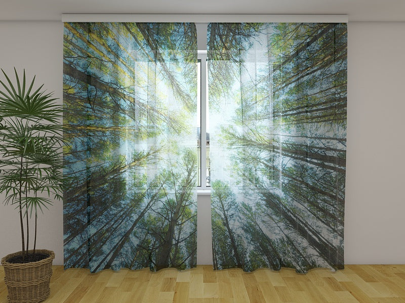 Photo Curtain Treetops