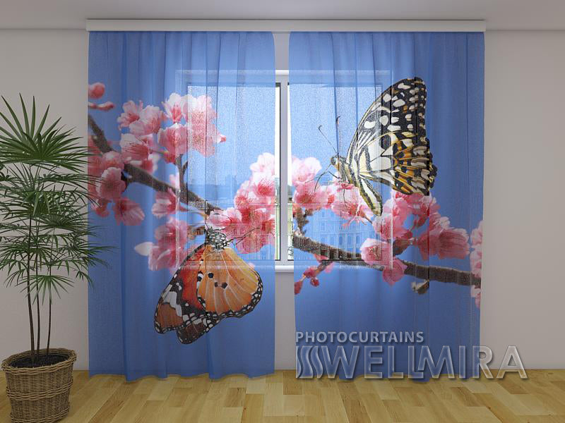 3D Curtain Two Butterflies - Wellmira
