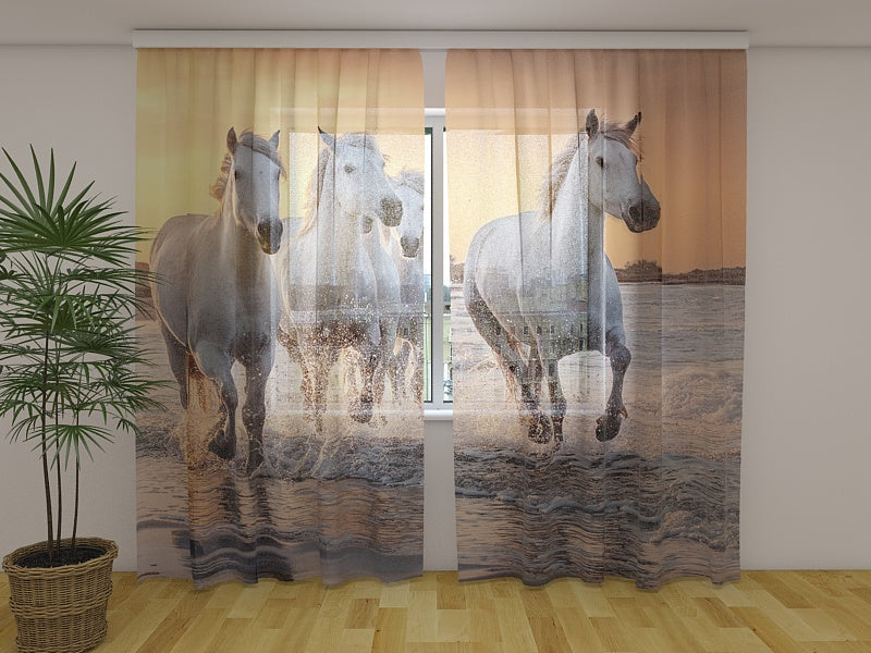 Photo Curtain White Horses Galloping at Sunset in France