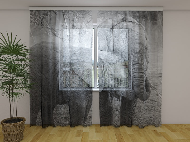 Photo Curtain Young Elephants in Black and White