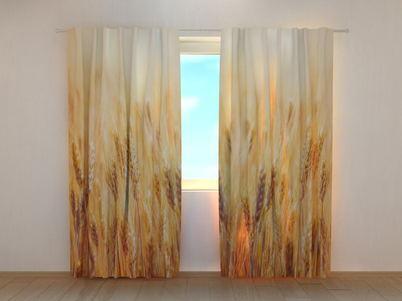 Photo Curtain Golden Wheat Field