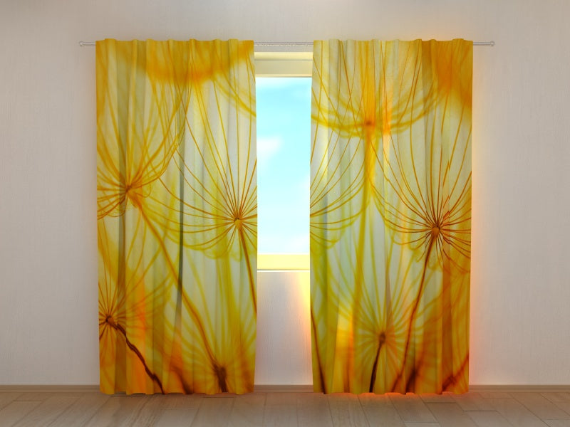 Photo Curtain Golden Dandelion