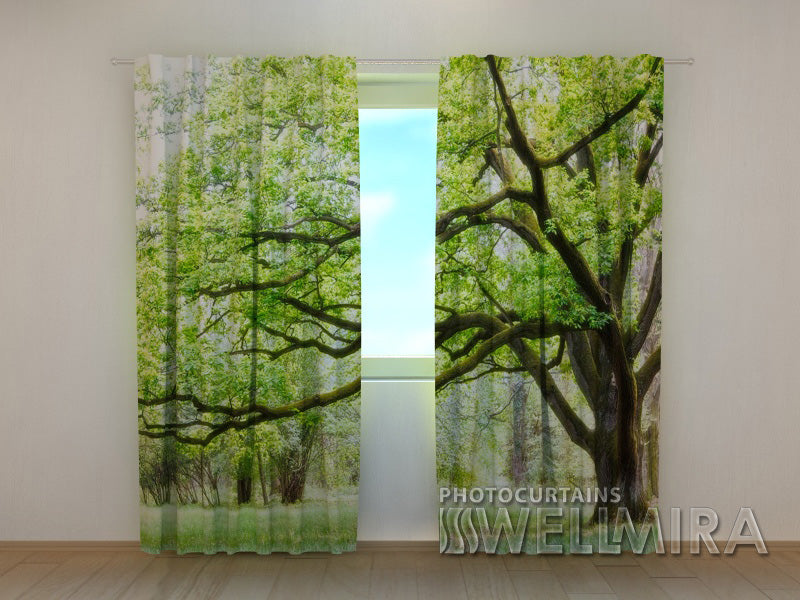 Photocurtain Green Tree - Wellmira