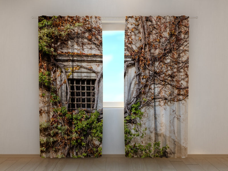 Photo Curtain Green Wall of Beauty Old Palace - Wellmira