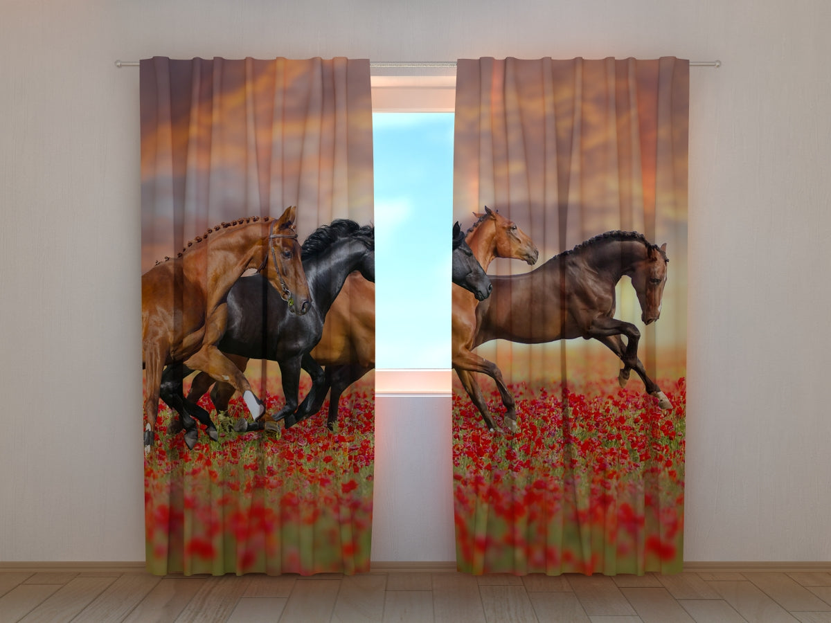Photocurtain Horses in the Poppies Field - Wellmira