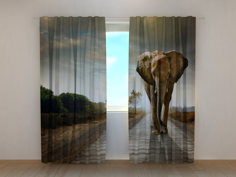 Photo Curtain Imperial Elephant