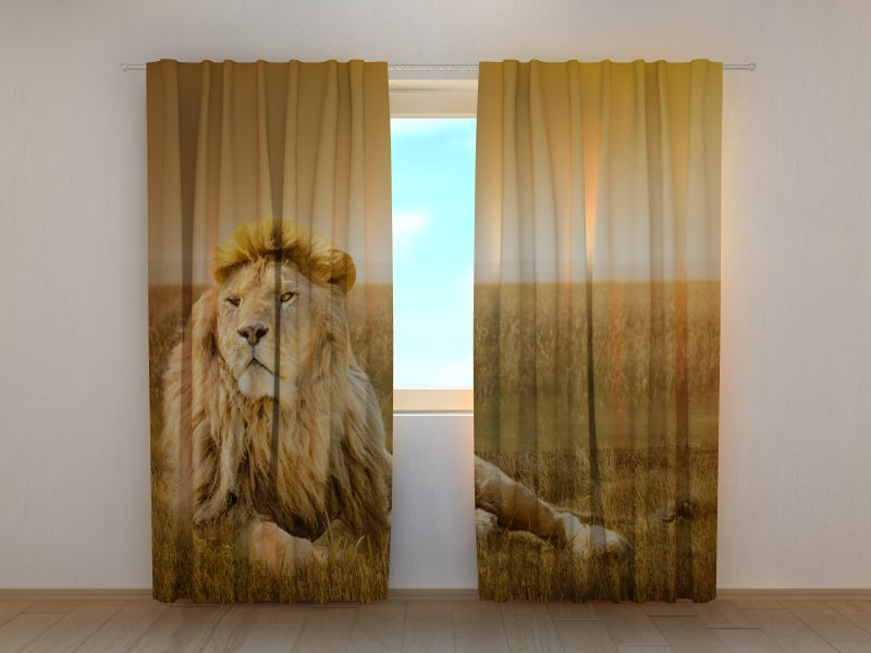 Rideau photo Roi des bêtes