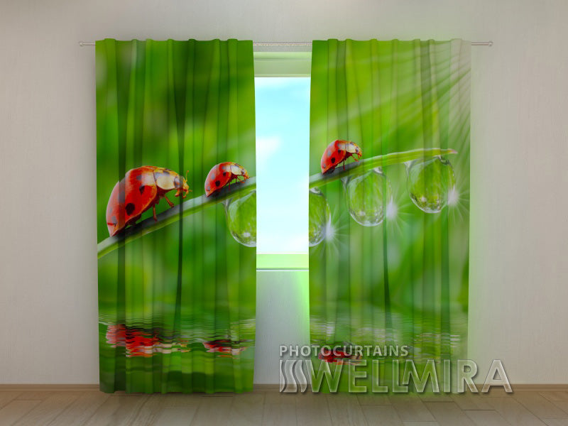 3D Curtain Ladybirds - Wellmira