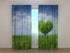 Photo Curtain Love Tree 2