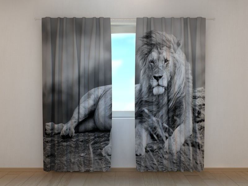 Photo Curtain Mighty Lion