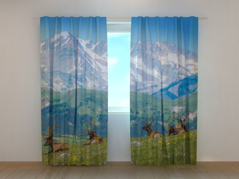 Photocurtain North Elks in the Rocky Mountain Meadow - Wellmira
