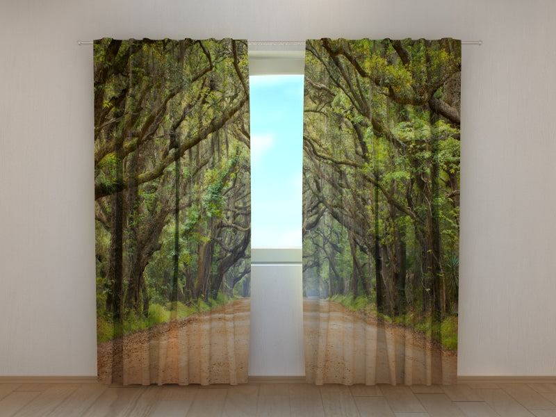 Photo Curtain Oak Trees in Australian Botany Bay