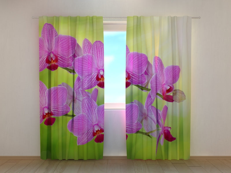Photo Curtain Orchid Romantic