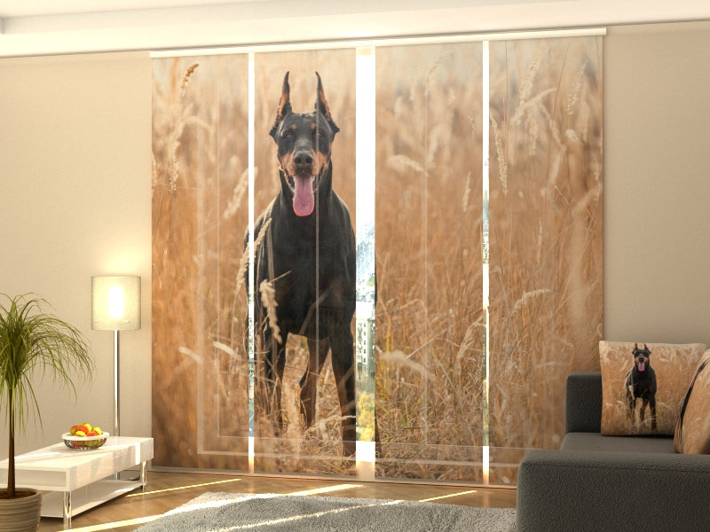 Set of 4 Panel Doberman Pinscher in the Golden Grass