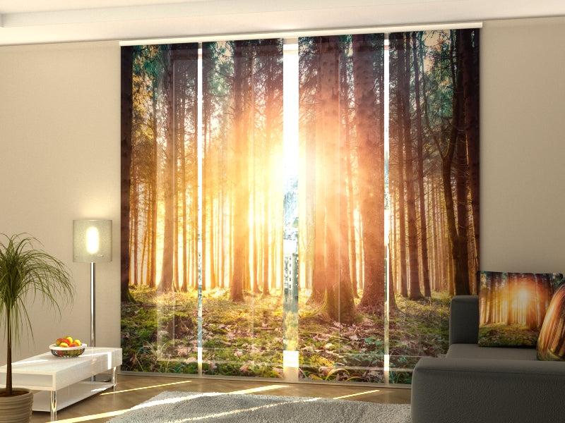 Ensemble de 4 Panneaux Coucher de Soleil Magique dans les Bois