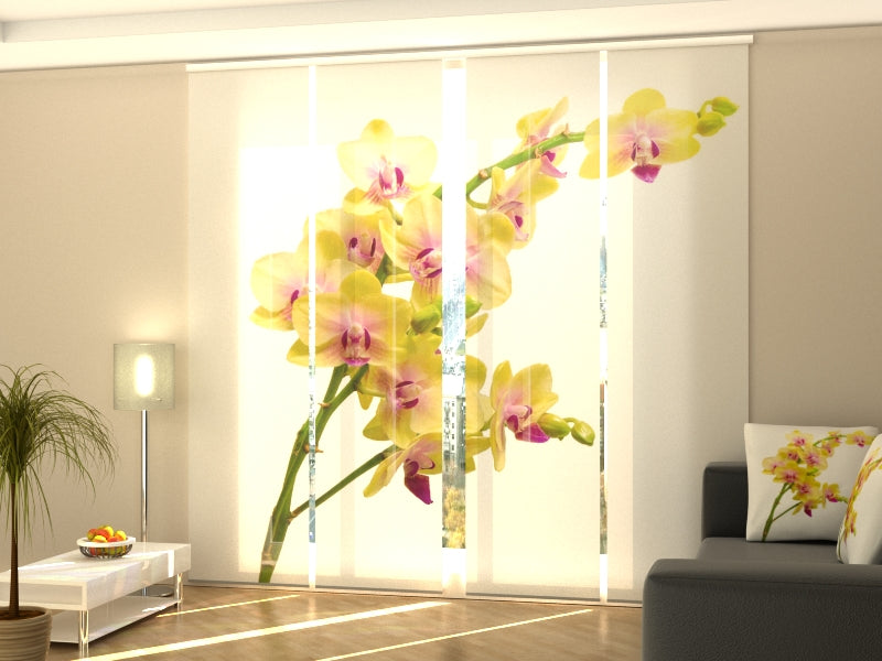 4-Panel Curtains Kit with 4-Track Rail, Sunny Orchid 2, Size: 60x245 cm