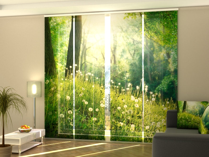 4-Panel Curtains Kit with 4-Track Rail, Summer Dandelions, Size: 60x245 cm