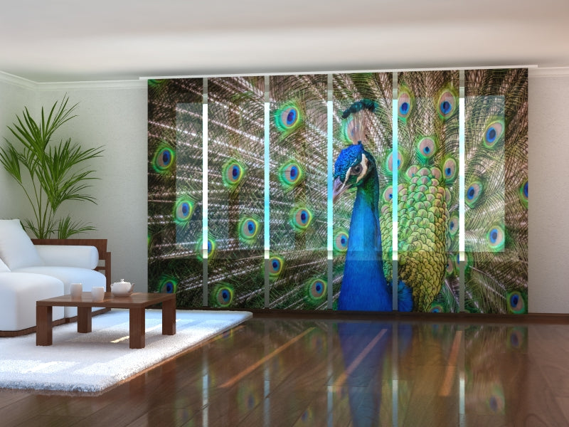 Set of 6 Panel Curtains Amazing Peacock