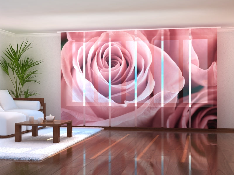 Set of 6 Panel Curtains Amazing Pink Rose
