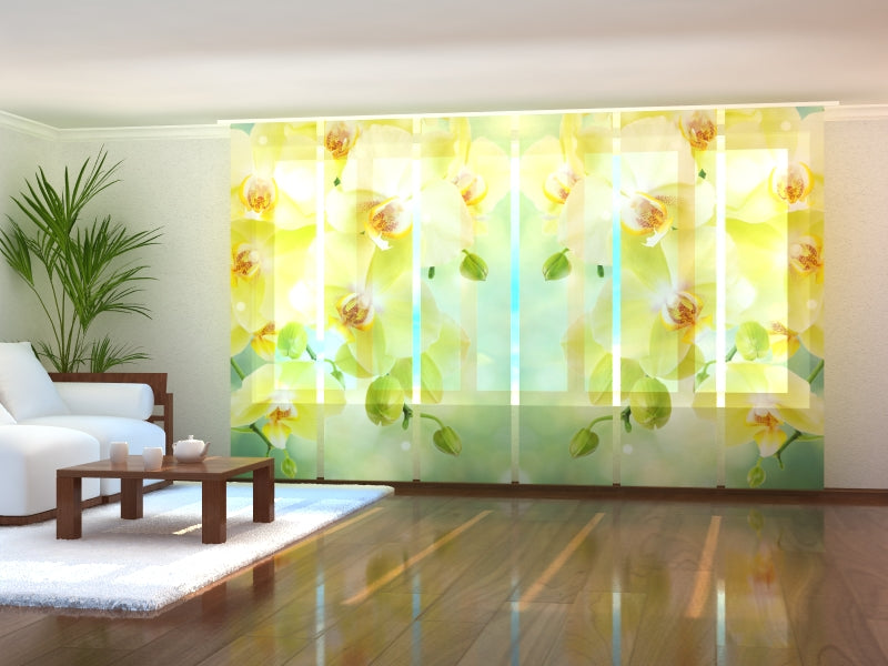 Set of 6 Panel Curtains Beautiful Lemon Orchids
