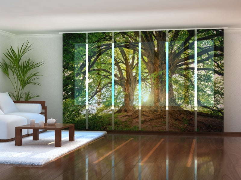 Ensemble de 6 panneaux de rideaux Beaux vieux arbres