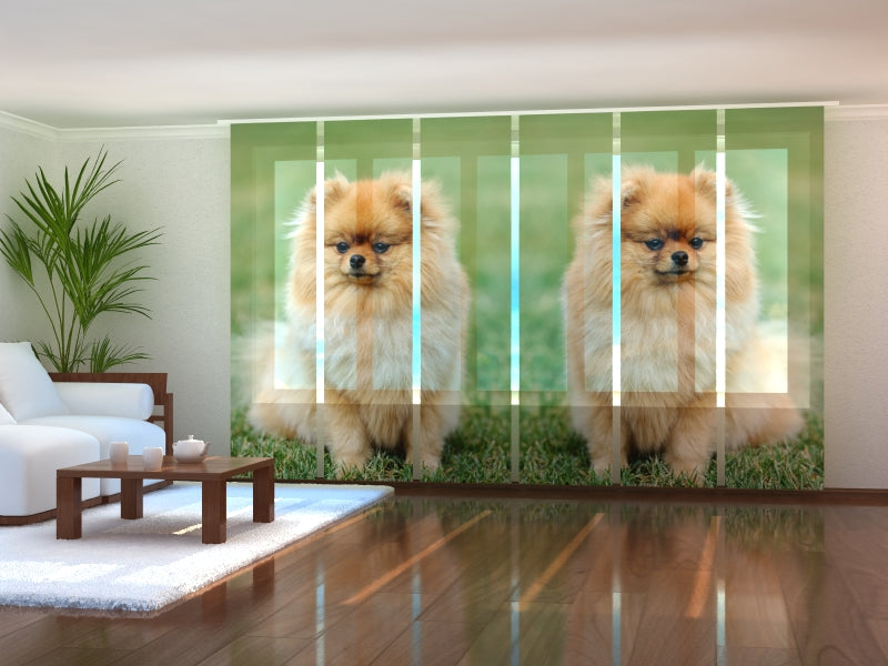 Set of 6 Panel Curtains Brown Pomeranian Dogs