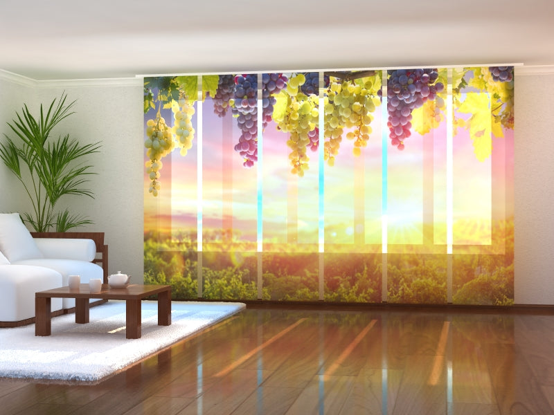 Lot de 6 panneaux voilages grappes de raisin au soleil d'été