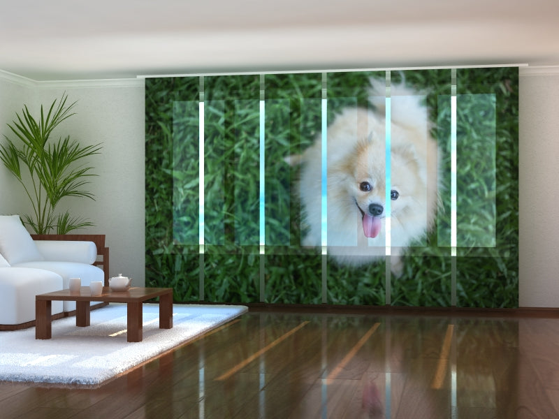 Set of 6 Panel Curtains Happy Pomeranian Dog
