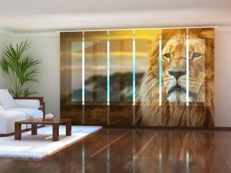 Set of 6 Sliding Panel Curtains Lion in Savanna